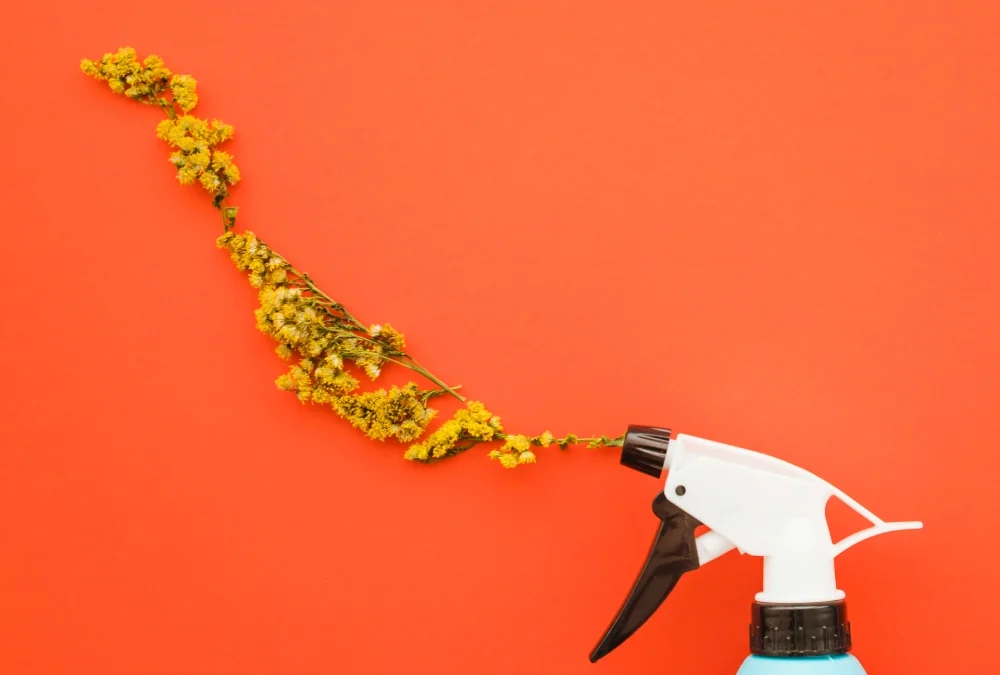 Spring Cleaning Secrets: A Professional’s Guide