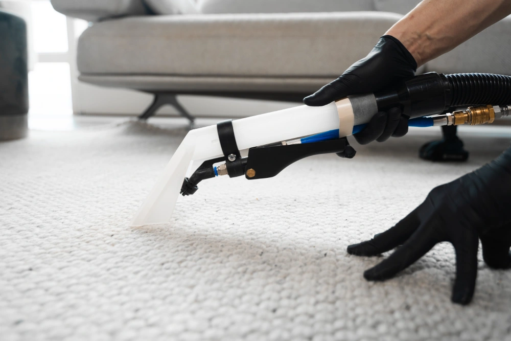 Carpet Cleaning Experts in Middleton Expert Carpet Cleaning