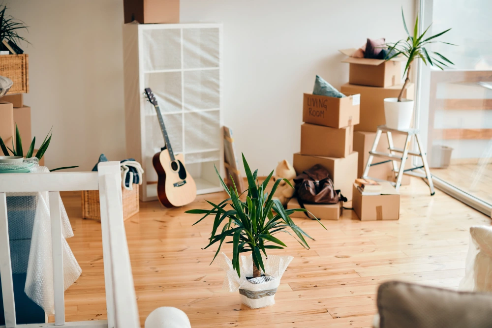 Essential Cleaning Tasks Before Unpacking in Your New Home