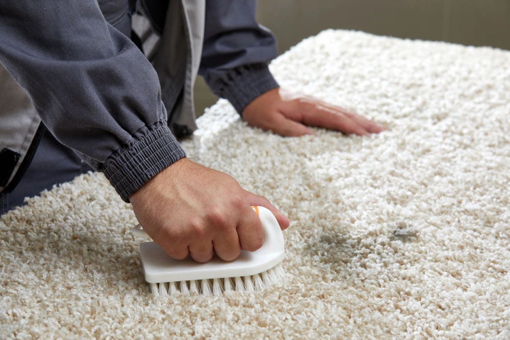 DIY vs Professional Carpet Cleaning in Manchester