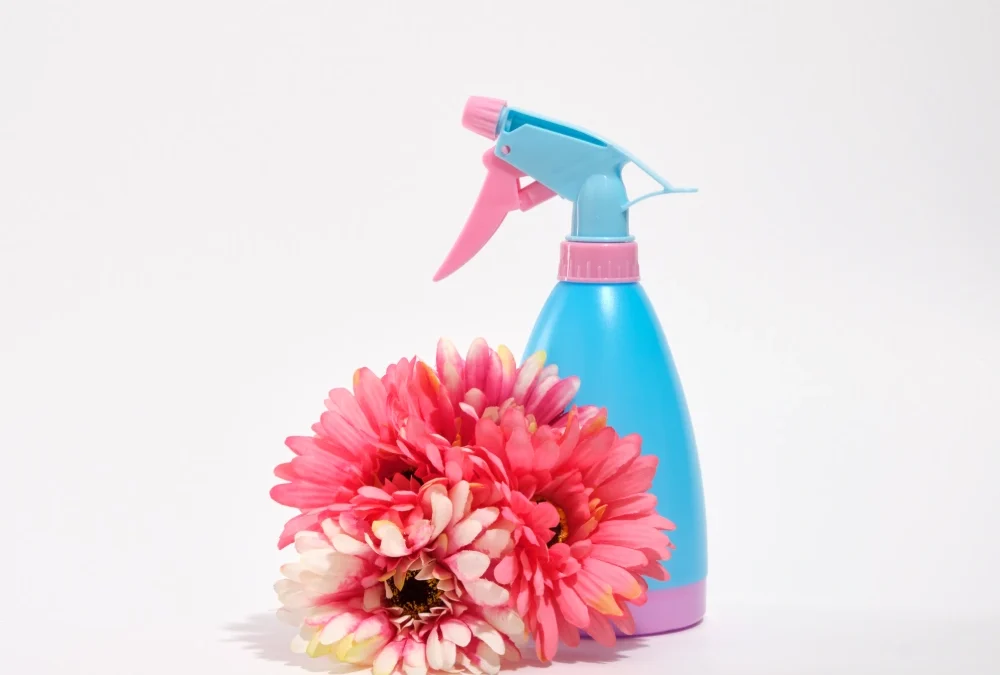 Spring Cleaning in Manchester: Refresh Your Home for the Season