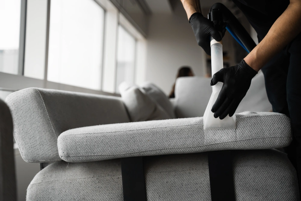 Upholstery Cleaning Manchester: Breathe New Life