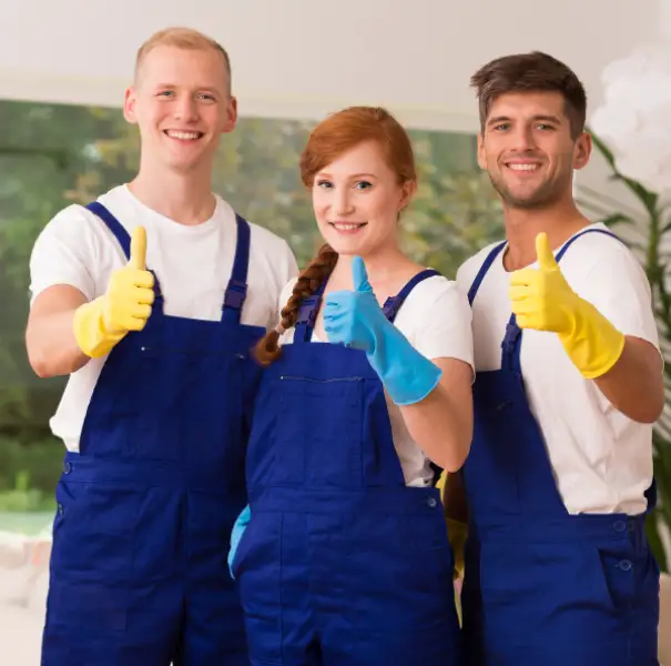 cleaners