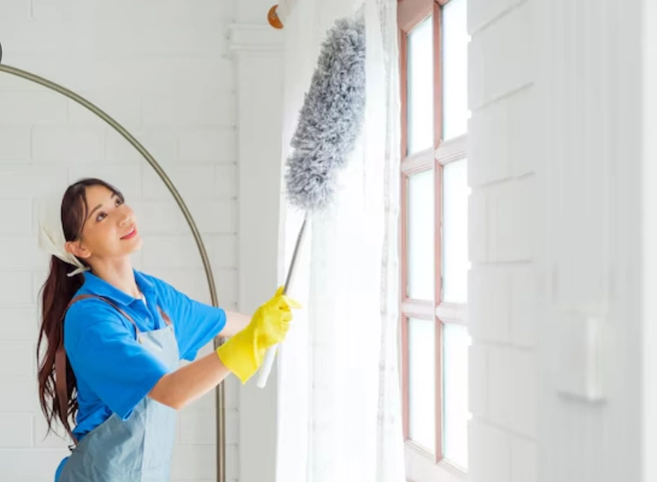 a diligent cleaner