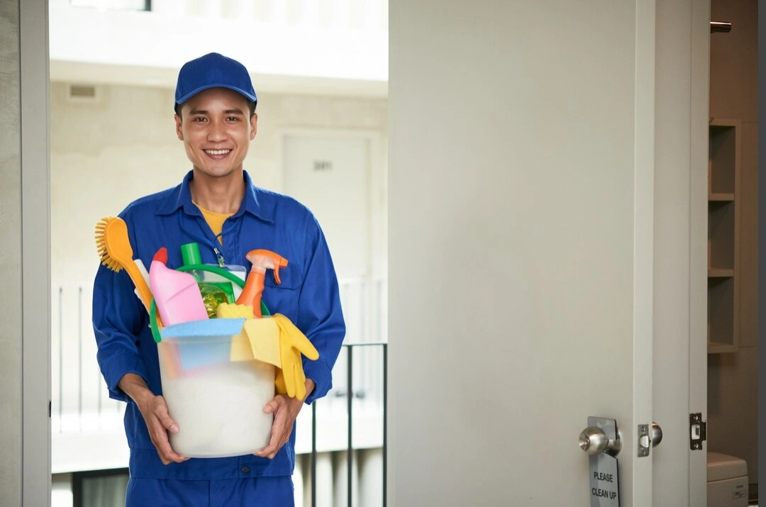 a domestic cleaner